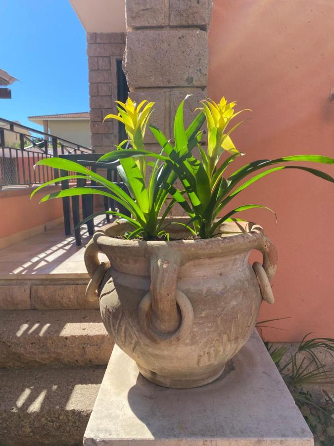 Villa Marogna アルゲーロ エクステリア 写真
